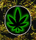 leaficon.jpg (21475 bytes)